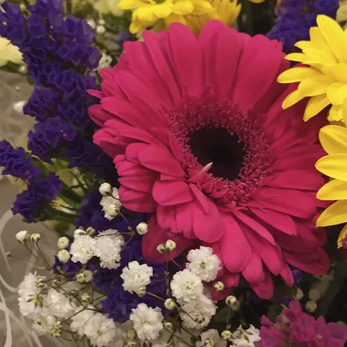 Flores