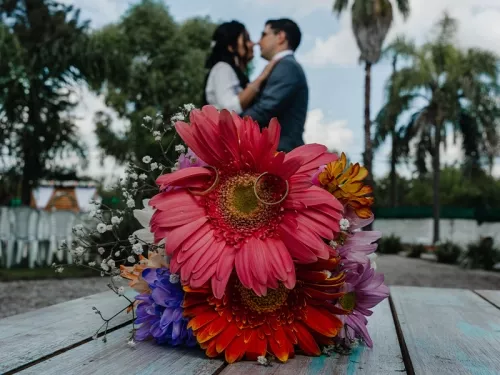 Bodas. eventos y celebraciones